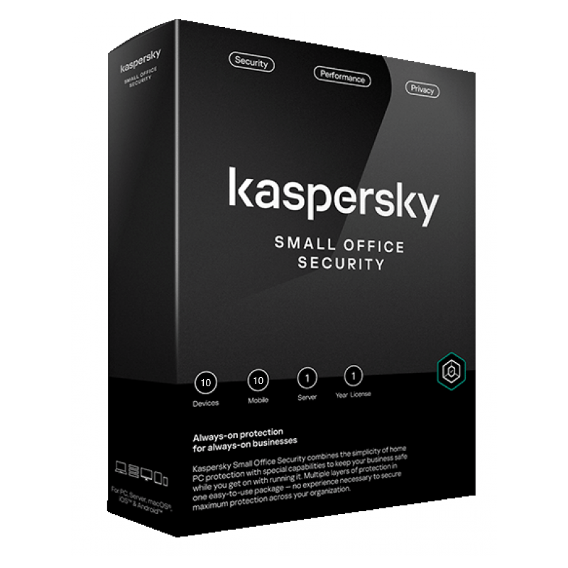 Kaspersky 1 Server 10 user