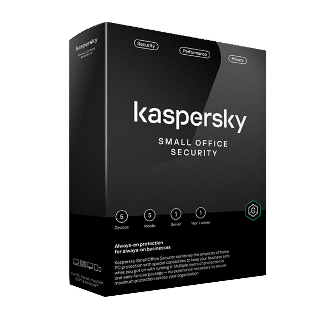 Kaspersky 1 Server 5 user
